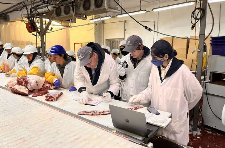 Beef processing line